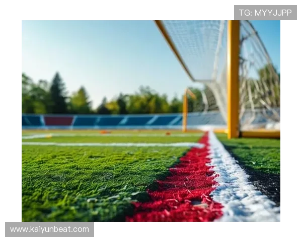 探索乐鱼体育在线入口的多样功能，让你不再错过比赛精彩瞬间