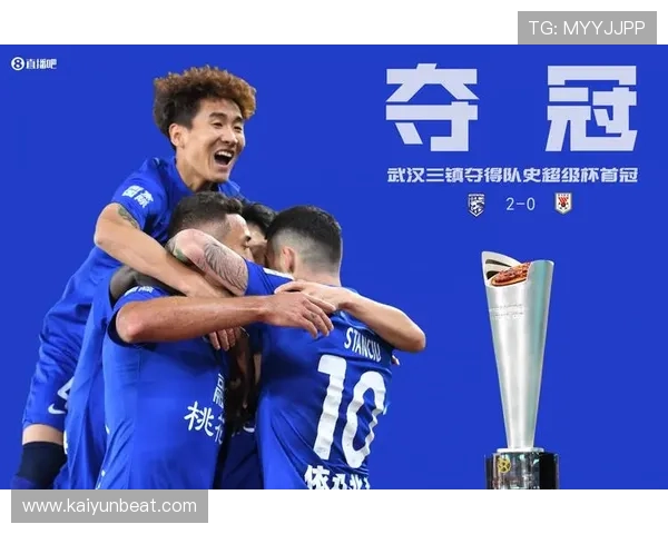 探索开云体育网页版入口地址的优势与潜在风险分析